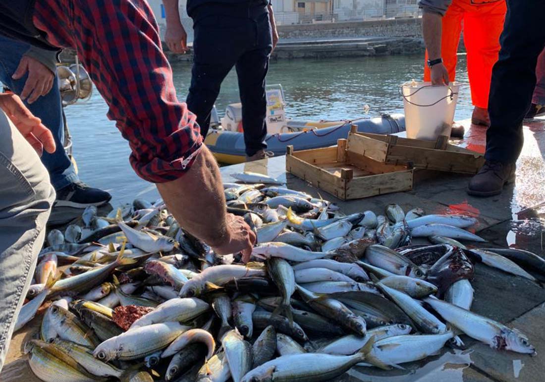 Ristorante La Cialoma